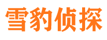 呼玛找人公司